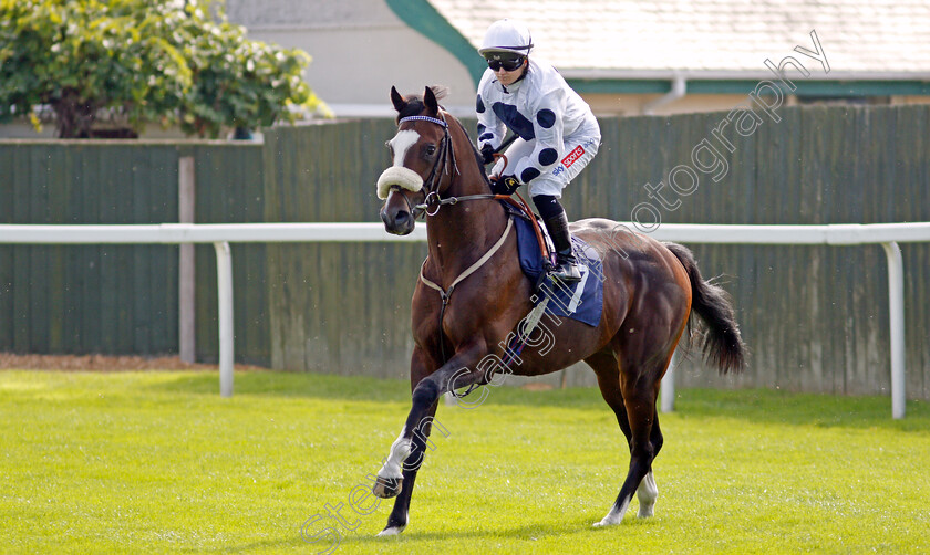 Top-Exhibit-0001 
 TOP EXHIBIT (Hollie Doyle)
Yarmouth 16 Sep 2021 - Pic Steven Cargill / Racingfotos.com