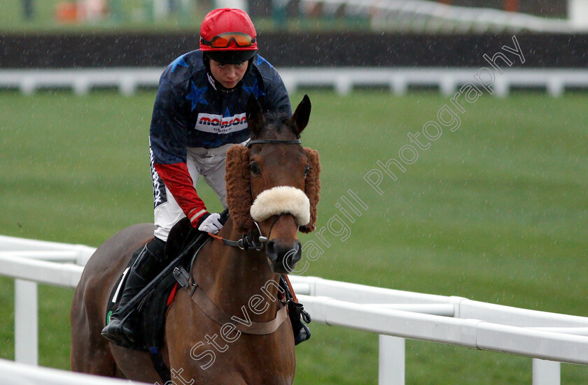 Old-Guard-0001 
 OLD GUARD (Bryony Frost)
Cheltenham 15 Dec 2018 - Pic Steven Cargill / Racingfotos.com