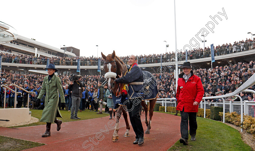 Native-River-0017 
 NATIVE RIVER after The Timico Cheltenham Gold Cup Cheltenham 16 mar 2018 - Pic Steven Cargill / Racingfotos.com