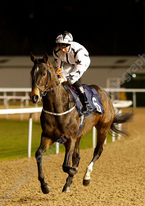 Tails-I-Win-0001 
 TAILS I WIN (Ben Sanderson)
Wolverhampton 7 Jan 2019 - Pic Steven Cargill / Racingfotos.com