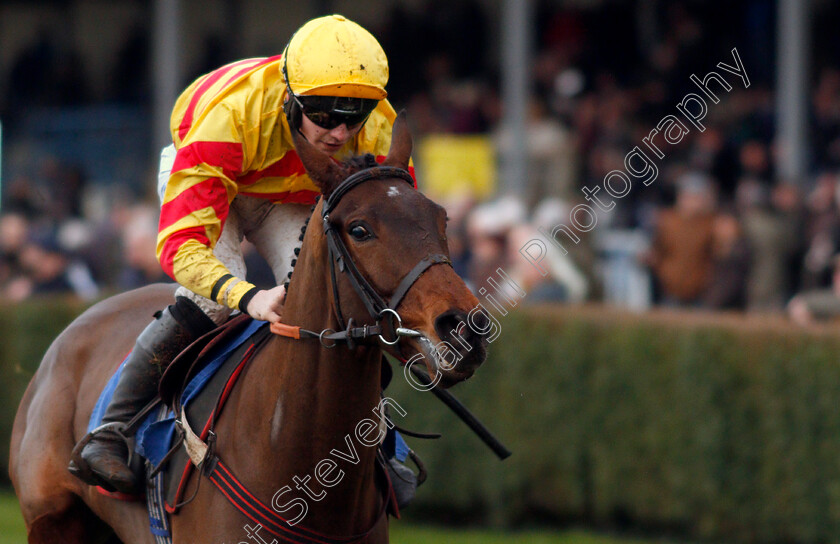 Runswick-Bay-0005 
 RUNSWICK BAY (Ben Jones) wins The Towergate Caravan Insurance Standard Open National Hunt Flat Race
Wincanton 30 Jan 2020 - Pic Steven Cargill / Racingfotos.com