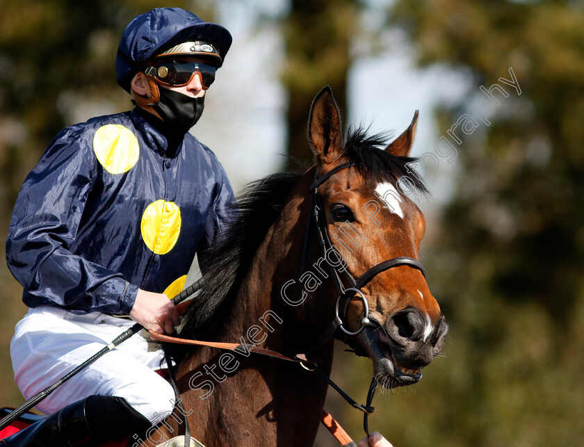 Shimmering-Dawn-0001 
 SHIMMERING DAWN (James Doyle)
Lingfield 2 Apr 2021 - Pic Steven Cargill / Racingfotos.com