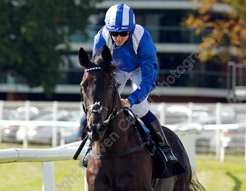 Emaraaty-0003 
 EMARAATY (Jim Crowley) winner of The Wedgewood Estates EBF Novice Stakes Div2 Newbury 23 Sep 2017 - Pic Steven Cargill / Racingfotos.com