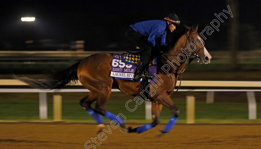 Laurel-River-0001 
 LAUREL RIVER training for the Breeders' Cup Dirt Mile
Keeneland USA 1 Nov 2022 - Pic Steven Cargill / Racingfotos.com