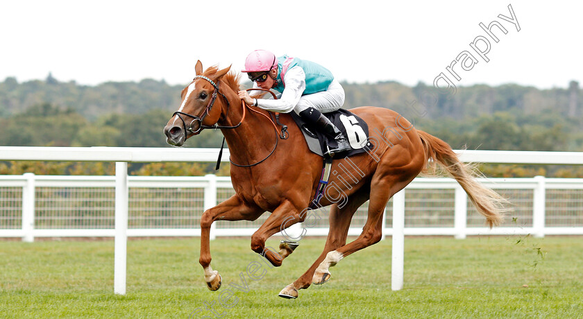 Pocket-Square-0003 
 POCKET SQUARE (Jason Watson) wins The Royal Foresters British EBF Fillies Novice Stakes
Ascot 7 Sep 2019 - Pic Steven Cargill / Racingfotos.com