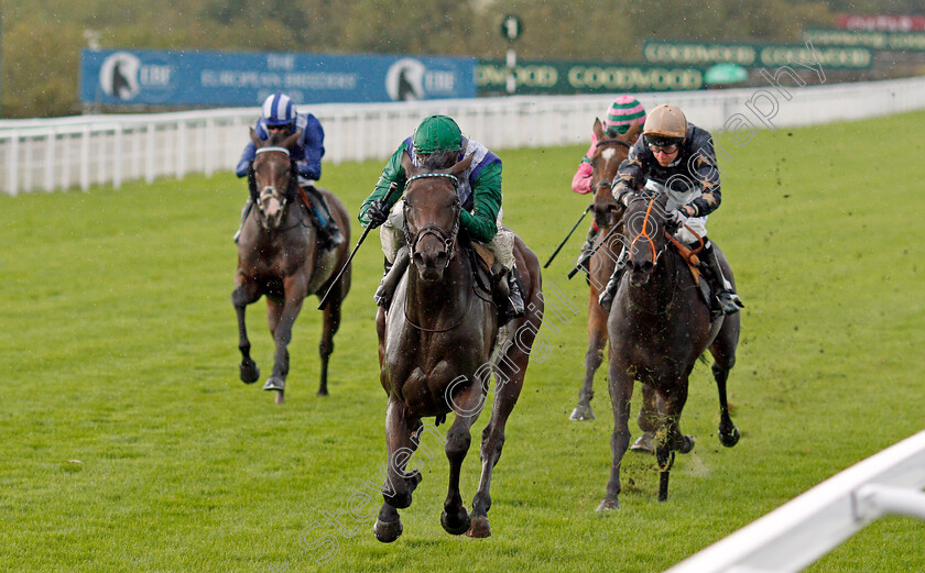 Oti-Ma-Boati-0004 
 OTI MA BOATI (James Doyle) wins The Ladbrokes Get Your Daily Odds Boost Fillies Handicap
Goodwood 28 Aug 2020 - Pic Steven Cargill / Racingfotos.com