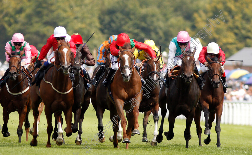 Billesdon-Brook-0002 
 BILLESDON BROOK (centre, Sean Levey) beats PERFECTION (left) and JUBILOSO (right) in The Theo Fennell Oak Tree Stakes
Goodwood 2 Aug 2019 - Pic Steven Cargill / Racingfotos.com