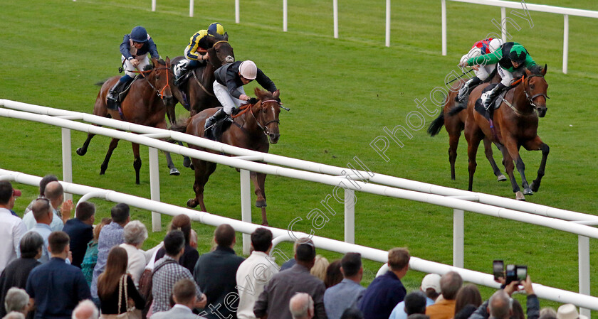 Plus-Point-0009 
 PLUS POINT (George Wood) wins The Venture Security Handicap
Newbury 27 Jul 2023 - Pic Steven Cargill / Racingfotos.com