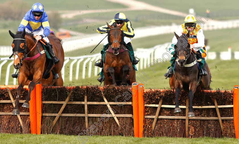 Dans-Le-Vent-0001 
 DANS LE VENT (right, Gavin Sheehan) with REVE (left, Leighton Aspell)
Cheltenham 17 Apr 2019 - Pic Steven Cargill / Racingfotos.com