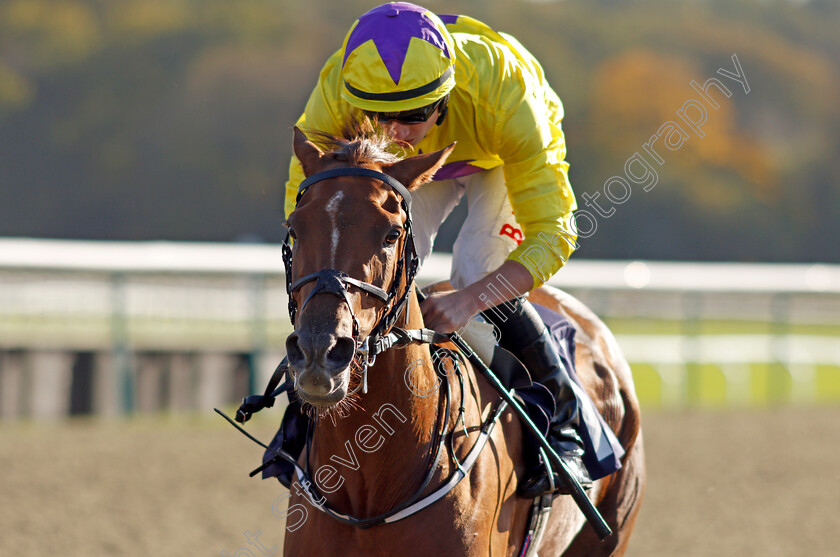 Sea-La-Rosa-0007 
 SEA LA ROSA (Tom Marquand) wins The Coral EBF River Eden Fillies Stakes
Lingfield 28 Oct 2021 - Pic Steven Cargill / Racingfotos.com