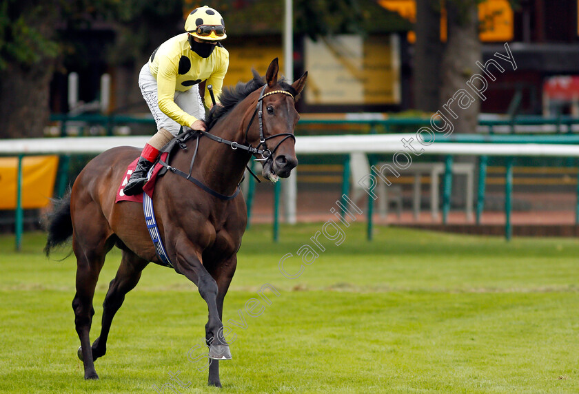 Without-A-Fight-0001 
 WITHOUT A FIGHT (Andrea Atzeni) winner of The Read Ryan Moore Columns On Betting.Betfair Handicap
Haydock 3 Sep 2020 - Pic Steven Cargill / Racingfotos.com