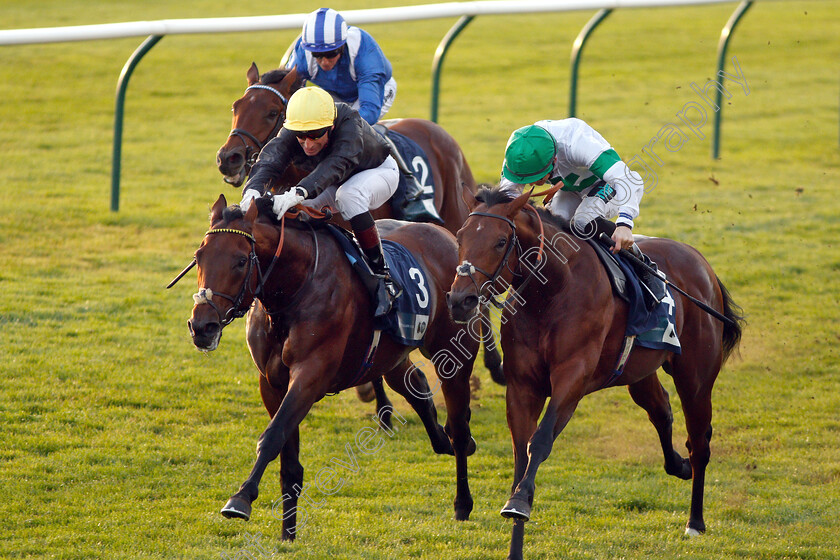 Ginistrelli-0007 
 GINISTRELLI (left, Gerald Mosse) beats JAMES PARK WOODS (right) in The British EBF Novice Stakes
Newmarket 24 Oct 2018 - Pic Steven Cargill / Racingfotos.com