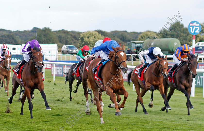 Desert-Flower-0005 
 DESERT FLOWER (William Buick) wins The Betfred May Hill Stakes
Doncaster 12 Sep 2024 - Pic Steven Cargill / Racingfotos.com