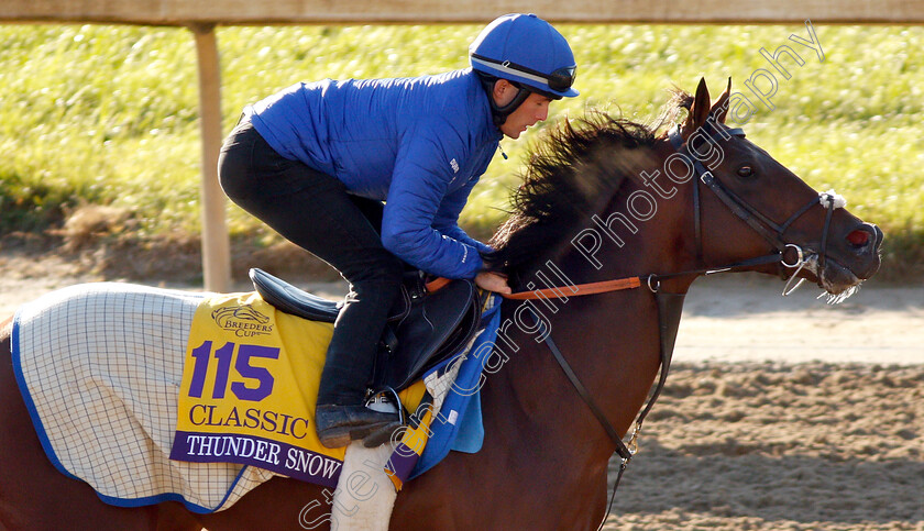 Thunder-Snow-0001 
 THUNDER SNOW exercising ahead of the The Breeders' Cup Classic
Churchill Downs USA 29 Oct 2018 - Pic Steven Cargill / Racingfotos.com