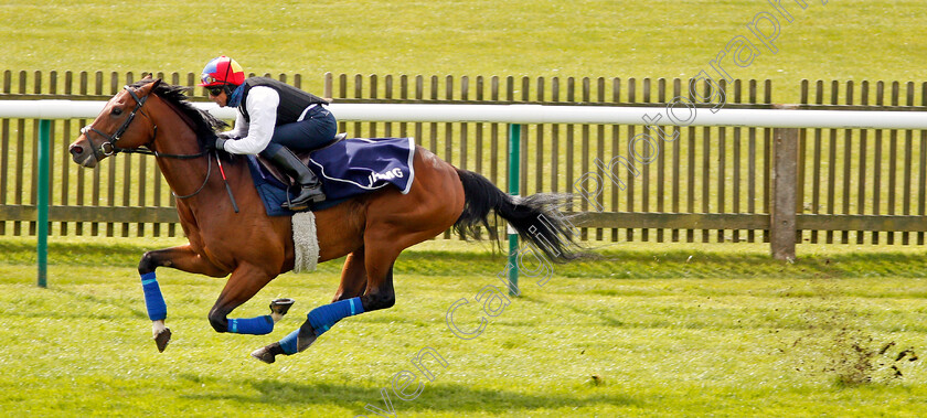 Cracksman-0003 
 CRACKSMAN (Frankie Dettori) galloping at Newmarket 17 Apr 2018 - Pic Steven Cargill / Racingfotos.com