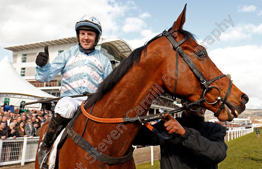 Summerville-Boy-0005 
 SUMMERVILLE BOY (Noel Fehily) after The Sky Bet Supreme Novices Hurdle Cheltenham 13 Mar 2018 - Pic Steven Carrgill / Racingfotos.com