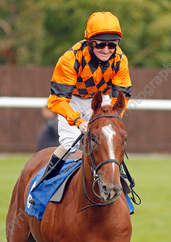 Itoldyoutobackit-0001 
 ITOLDYOUTOBACKIT (Liam Keniry)
Leicester 10 Sep 2019 - Pic Steven Cargill / Racingfotos.com