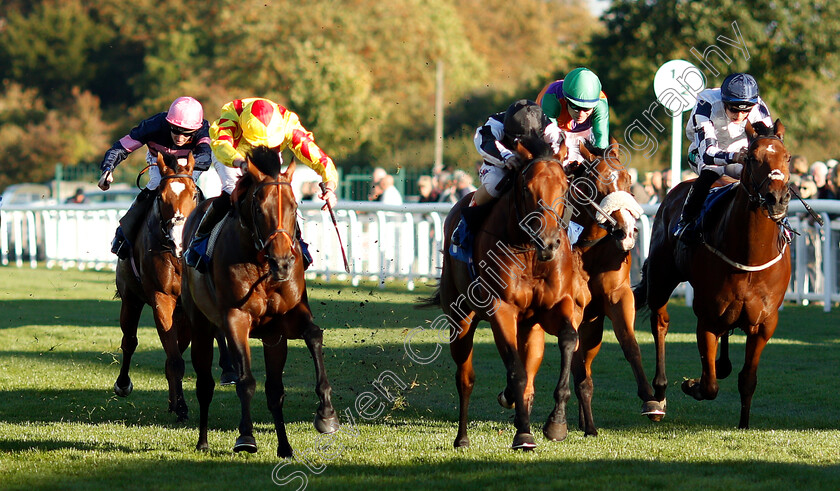 Helvetian-0003 
 HELVETIAN (centre, Andrea Atzeni) beats LOUIE DE PALMA (left) in The Weatherbys General Stud Book Handicap
Salisbury 3 Oct 2018 - Pic Steven Cargill / Racingfotos.com