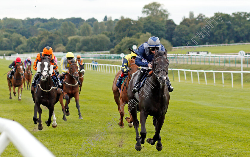 Stopnsearch-0003 
 STOPNSEARCH (William Carson) wins The Read Andrew Balding On Betway Insider Handicap Div1
Lingfield 7 Sep 2020 - Pic Steven Cargill / Racingfotos.com