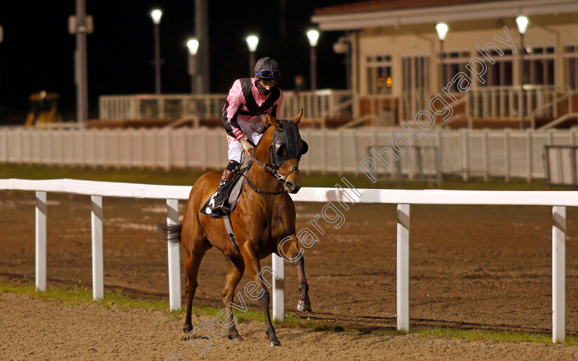 Top-Breeze-0001 
 TOP BREEZE (Tyler Heard)
Chelmsford 8 Oct 2020 - Pic Steven Cargill / Racingfotos.com