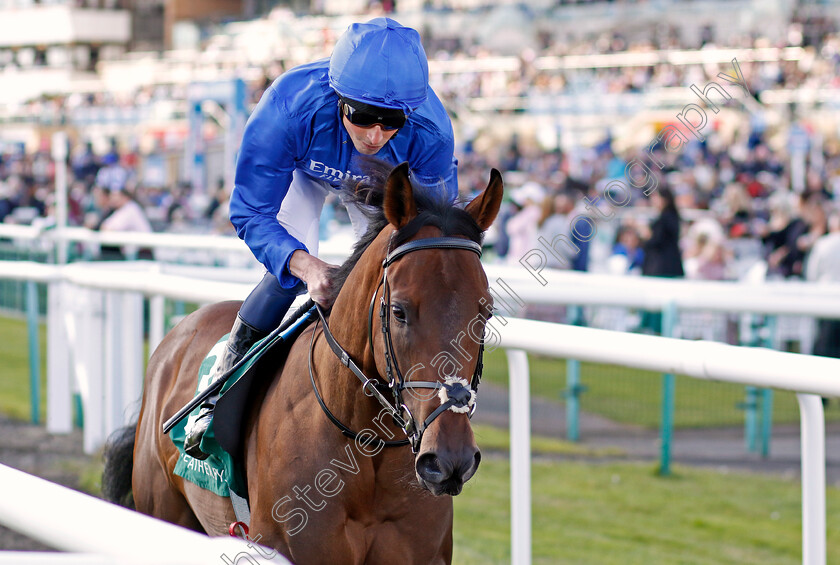 Hallasan-0006 
 HALLASAN (William Buick) winner of The Weatherbys Scientific £300,000 2-y-o Stakes
Doncaster 12 Sep 2024 - Pic Steven Cargill / Racingfotos.com