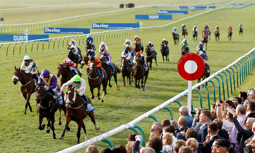 Low-Sun-0003 
 LOW SUN (Seamie Heffernan) wins The Dubai £500,000 Cesarewitch Handicap
Newmarket 13 Oct 2018 - Pic Steven Cargill / Racingfotos.com