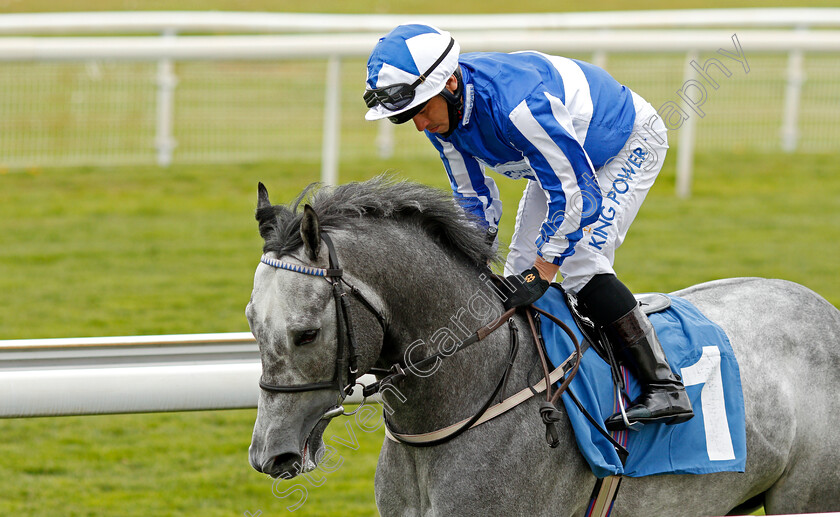 Art-Power-0001 
 ART POWER (Silvestre De Sousa)
York 12 May 2021 - Pic Steven Cargill / Racingfotos.com