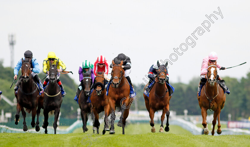 Kerdos-0005 
 KERDOS (centre, Richard Kingscote) beats LIVE IN THE DREAM (right) and ASFOORA (left) in The Betfred Temple Stakes
Haydock 25 May 2024 - Pic Steven Cargill / Racingfotos.com