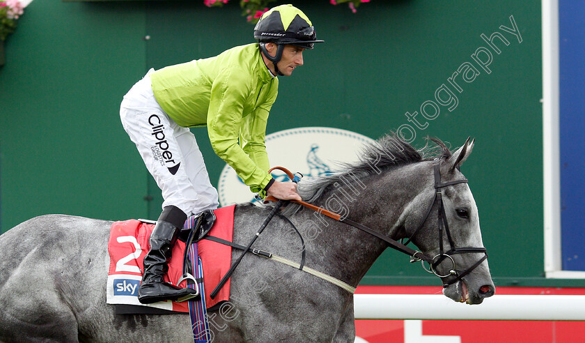 Buzz-0003 
 BUZZ (Daniel Tudhope)
York 15 Jun 2019 - Pic Steven Cargill / Racingfotos.com