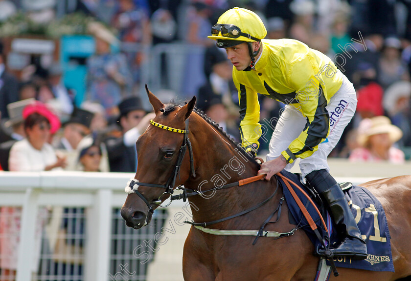 Yahsat 
 YAHSAT (Clifford Lee)
Royal Ascot 15 Jun 2022 - Pic Steven Cargill / Racingfotos.com