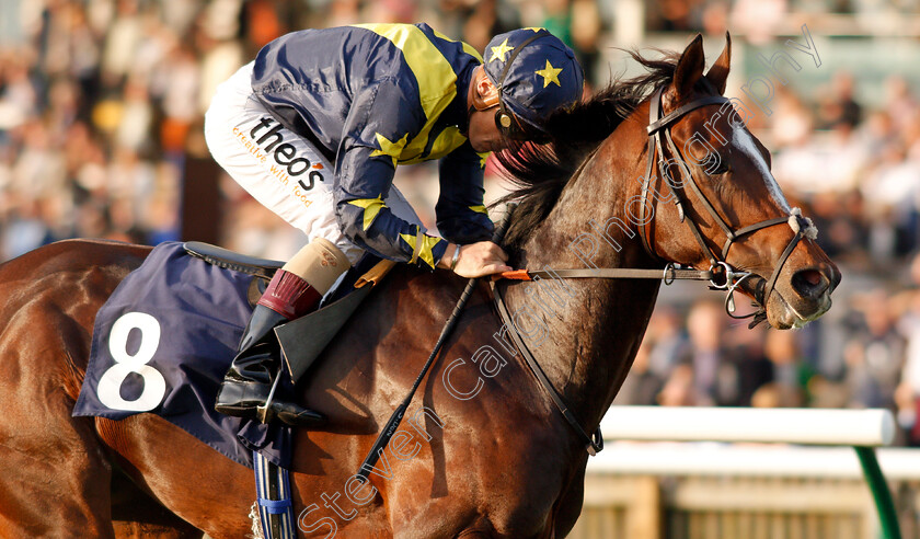 Repercussion-0005 
 REPERCUSSION (Stevie Donohoe) wins The Molson Coors Handicap Newmarket 28 Sep 2017 - Pic Steven Cargill / Racingfotos.com