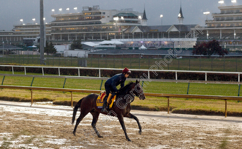 Mendelssohn-0002 
 MENDELSSOHN (Donnacha O'Brien) exercising ahead of The Breeders' Cup Classic
Churchill Downs 1 Nov 2018 - Pic Steven Cargill / Racingfotos.com