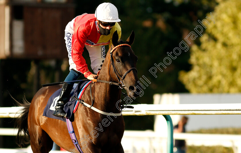 Emperor-Alley-0001 
 EMPEROR ALLEY (David Probert)
Lingfield 5 Aug 2020 - Pic Steven Cargill / Racingfotos.com