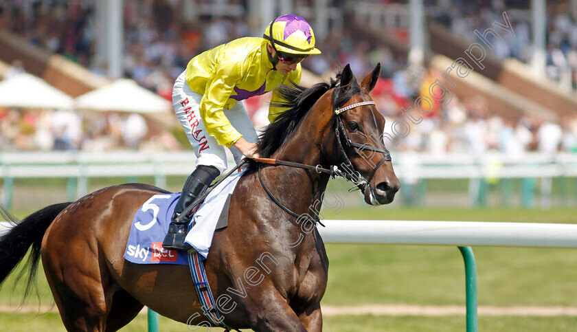 Sea-Silk-Road-0009 
 SEA SILK ROAD (Tom Marquand) winner of The Lester Piggott Pinnacle Stakes
Haydock 10 Jun 2023 - Pic Steven Cargill / Racingfotos.com