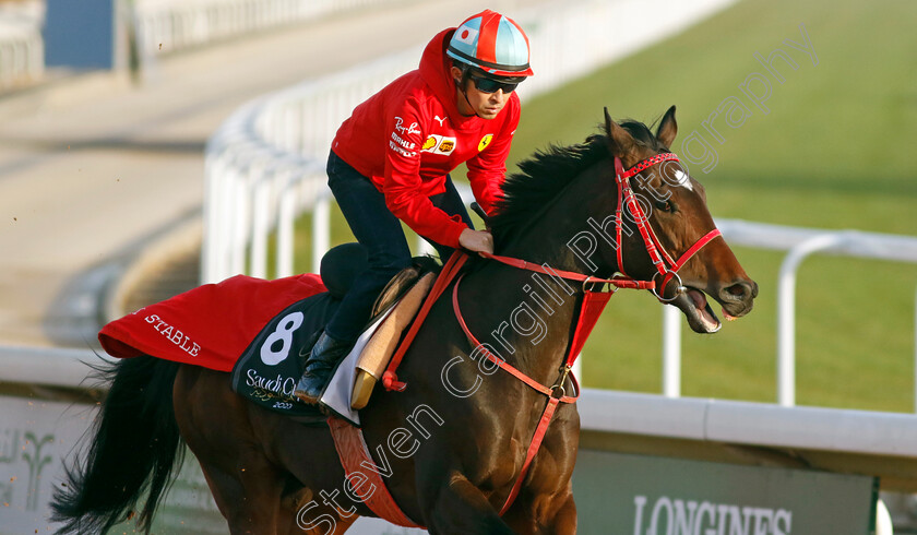 Ecoro-Ares-0001 
 ECORO ARES training for The Saudi Derby
King Abdulaziz Racecourse, Kingdom of Saudi Arabia, 22 Feb 2023 - Pic Steven Cargill / Racingfotos.com