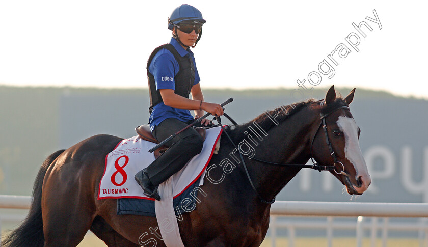 Talismanic-0001 
 TALISMANIC exercising in preparation for The Dubai World Cup, Meydan 28 Mar 2018 - Pic Steven Cargill / Racingfotos.com