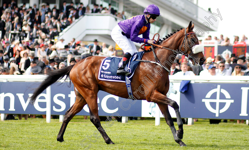 Hiroshima-0001 
 HIROSHIMA (Brett Doyle)
Epsom 1 Jun 2019 - Pic Steven Cargill / Racingfotos.com