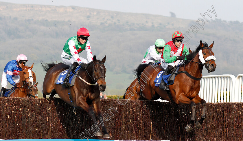 Cobra-De-Mai-0002 
 COBRA DE MAI (right, Harry Skelton) beats DAWSON CITY (left) in The Weatherite Handicap Chase
Cheltenham 17 Apr 2019 - Pic Steven Cargill / Racingfotos.com