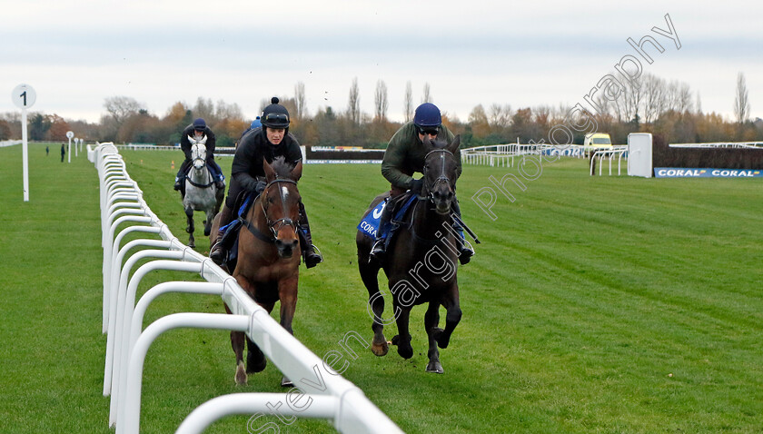 Ashtown-Lad-and-My-Drogo-0001 
 ASHTOWN LAD (left, Bridget Andrews) with MY DROGO (right, Harry Skelton) 
Coral Gold Cup Gallops Morning
Newbury 21 Nov 2023 - Pic Steven Cargill / Racingfotos.com