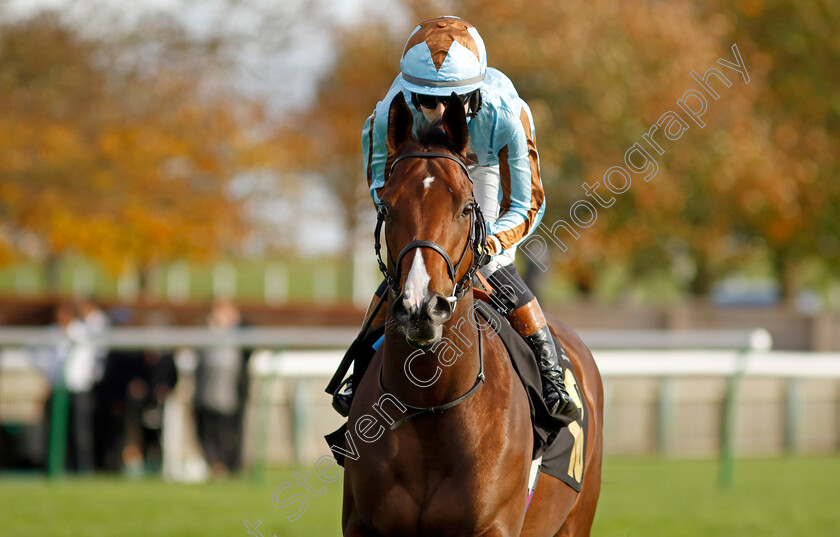 Zoukster-0001 
 ZOUKSTER (Saffie Osborne)
Newmarket 28 Oct 2022 - Pic Steven Cargill / Racingfotos.com