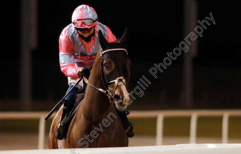 A-Momentofmadness-0001 
 A MOMENTOFMADNESS (William Buick)
Chelmsford 8 Oct 2020 - Pic Steven Cargill / Racingfotos.com