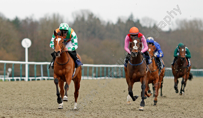 Classy-Dame-0001 
 CLASSY DAME (left, Adam Kirby) beats BABY SHAM (right) in The Get Your Ladbrokes Daily Odds Boost Handicap
Lingfield 19 Feb 2021 - Pic Steven Cargill / Racingfotos.com