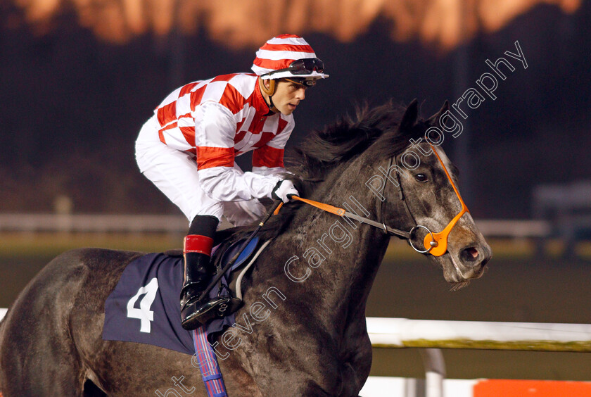 What-An-Angel-0002 
 WHAT AN ANGEL (Ben Curtis)
Wolverhampton 20 Jan 2020 - Pic Steven Cargill / Racingfotos.com