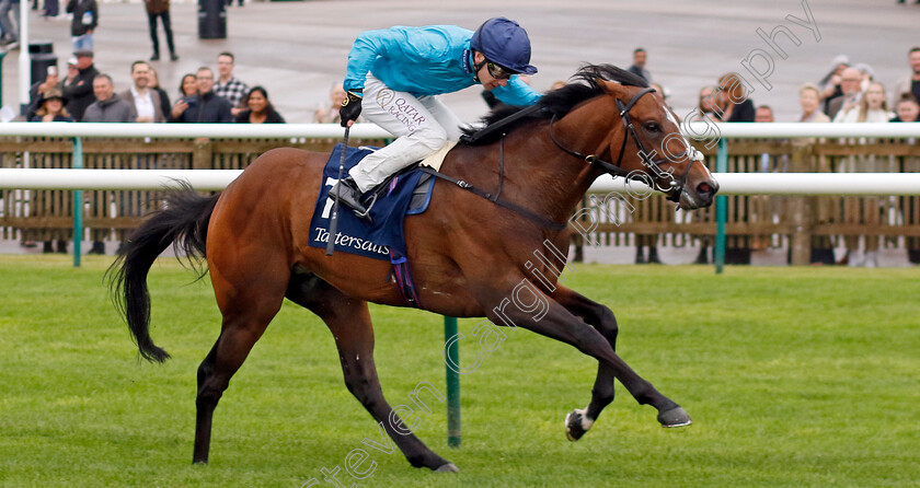 The-Waco-Kid-0001 
 THE WACO KID (Oisin Murphy) wins The Tattersalls Stakes
Newmarket 26 Sep 2024 - Pic Steven Cargill / Racingfotos.com