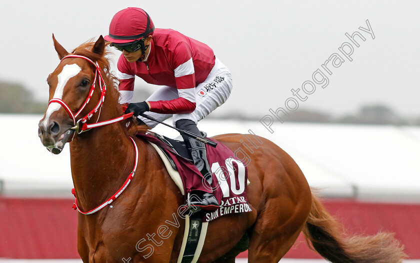 Shin-Emperor-0002 
 SHIN EMPEROR (R Sakai)
Longchamp 6 Oct 2024 - Pic Steven Cargill / Racingfotos.com