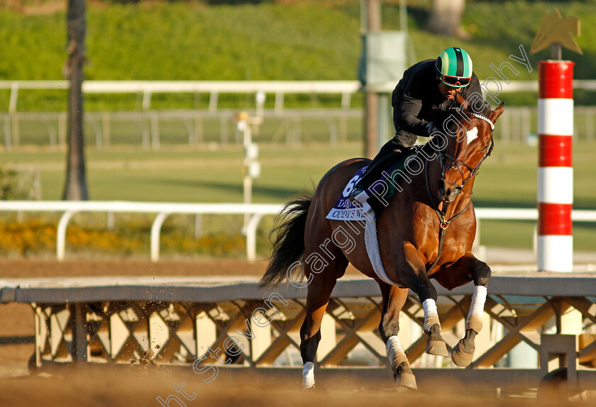 Cody s-Wish-0002 
 CODY'S WISH training for the Breeders' Cup Dirt Mile
Santa Anita USA, 1 Nov 2023 - Pic Steven Cargill / Racingfotos.com