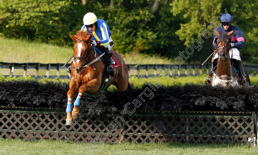 Kremlin-0002 
 KREMLIN (Willie McCarthy)
Percy Warner Park, Nashville USA, 12 May 2018 - Pic Steven Cargill / Racingfotos.com