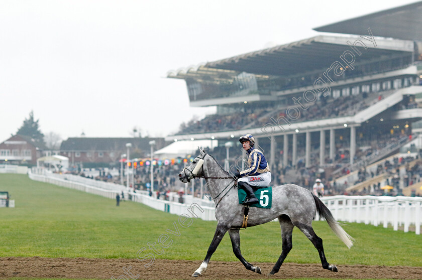 King-Turgeon-0009 
 KING TURGEON (Jack Tudor) winner of The Sonic The Hedgehog 3 Coming Soon Handicap Chase
Cheltenham 13 Dec 2024 - Pic Steven Cargill / Racingfotos.com