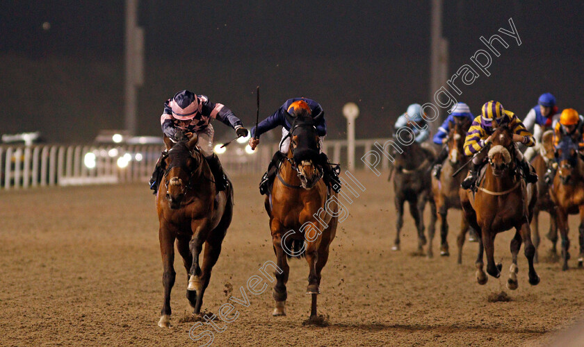 Dark-Pine-0001 
 DARK PINE (left, Rossa Ryan) beats ARIJ (centre) in The chelmsfordcityracecourse.com Handicap
Chelmsford 14 Jan 2021 - Pic Steven Cargill / Racingfotos.com