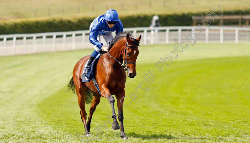 Fairy-Cross-0010 
 FAIRY CROSS (William Buick) winner of The William Hill Prestige Stakes
Goodwood 27 Aug 2022 - Pic Steven Cargill / Racingfotos.com